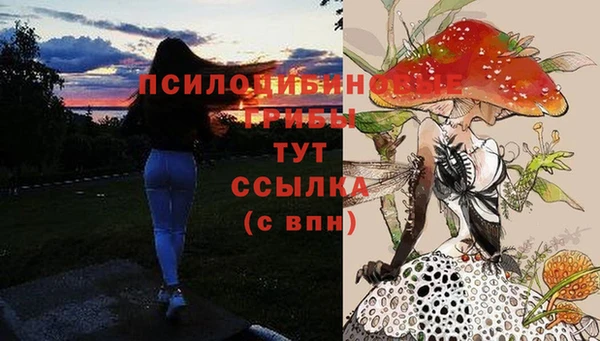 а пвп мука Гусев