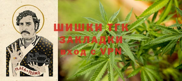 PSILOCYBIN Гусиноозёрск