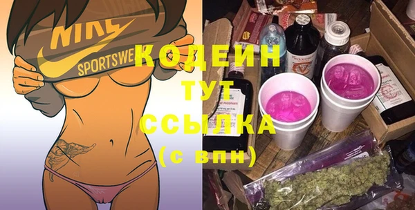 дмт Новодвинск