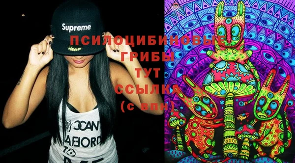 PSILOCYBIN Гусиноозёрск
