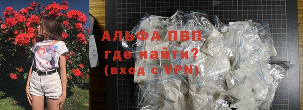 PSILOCYBIN Гусиноозёрск