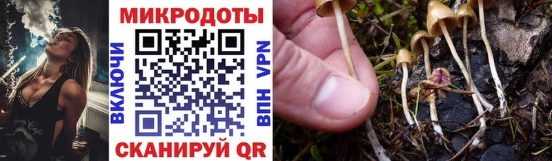 Купить  Мамоново  Галлюциногенные грибы Magic Shrooms 